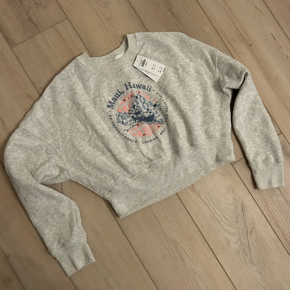 Abercrombie & Fitch | cropped sweat shirt